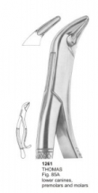  THOMAS Fig. 85A lower canines, premolars and molars 